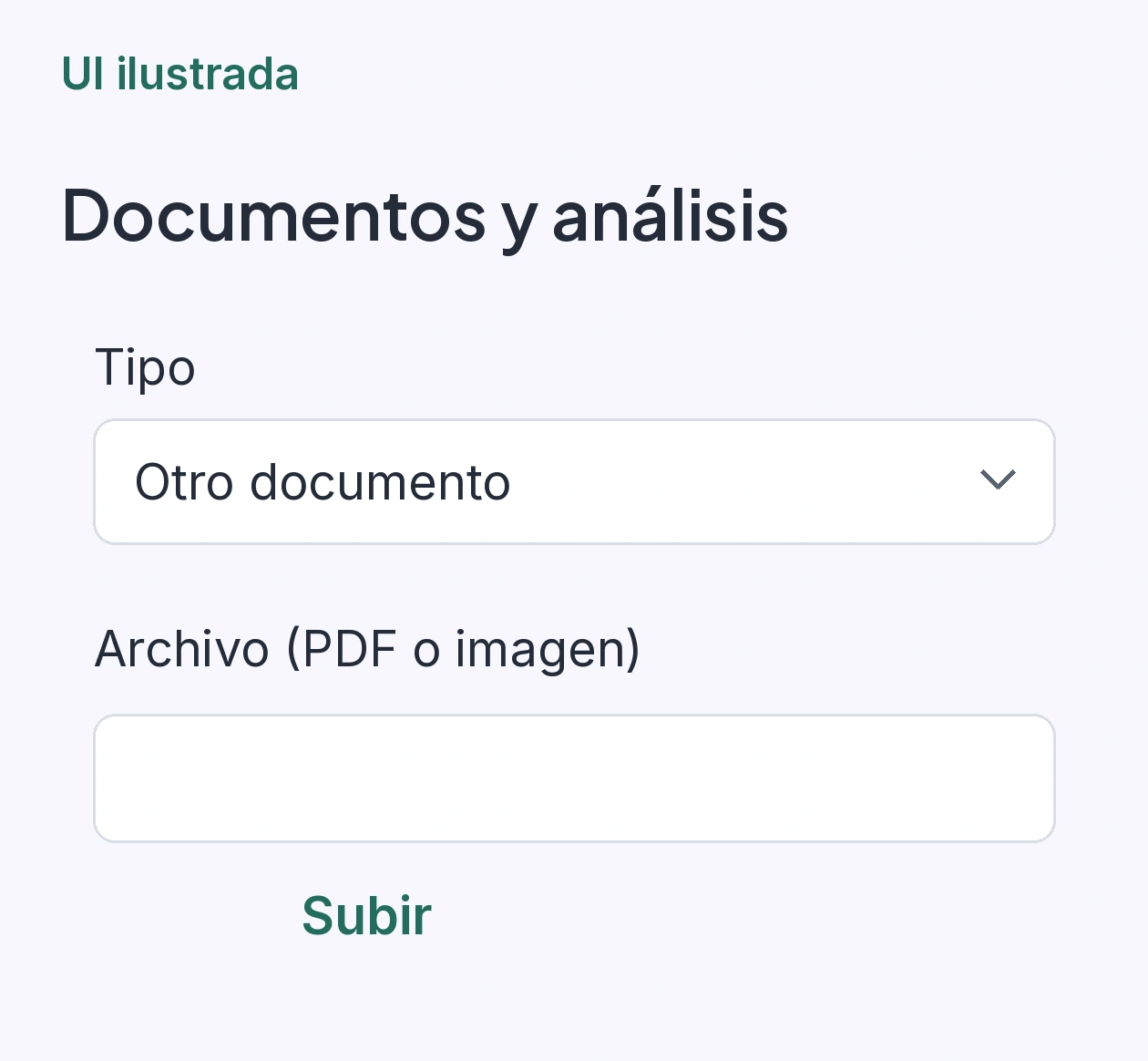 Sección Documentos con tipo Otro documento y campo para incorporar un PDF o una imagen