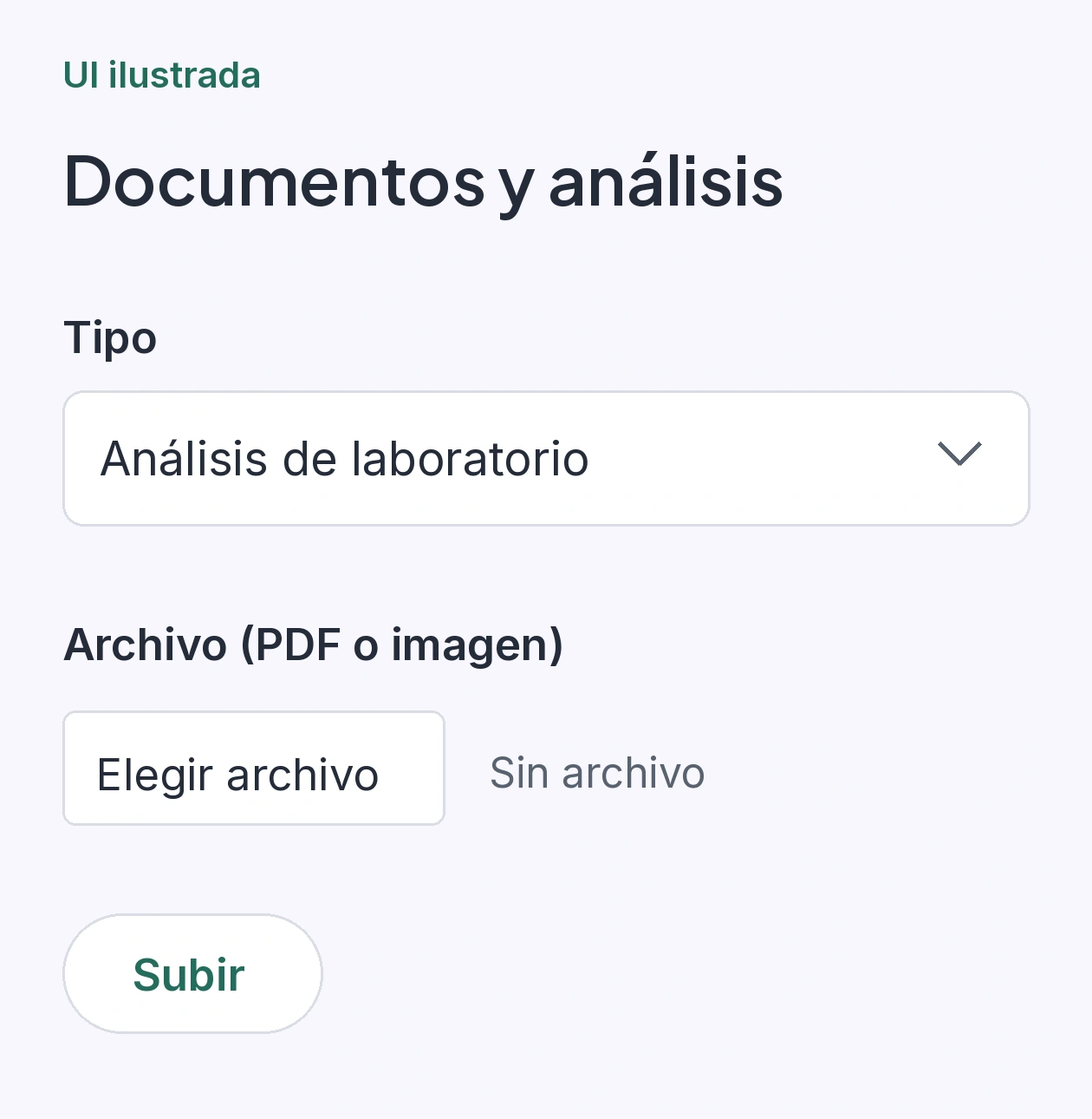 Sección Documentos y análisis con selección de tipo y archivo